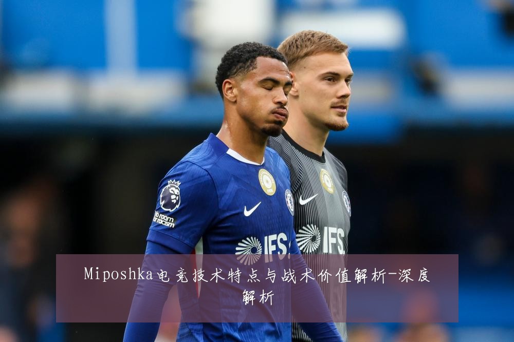 Miposhka电竞技术特点与战术价值解析-深度解析