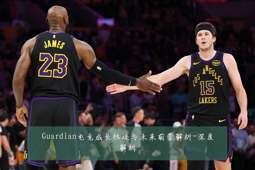 Guardian电竞成长轨迹与未来前景解析-深度解析